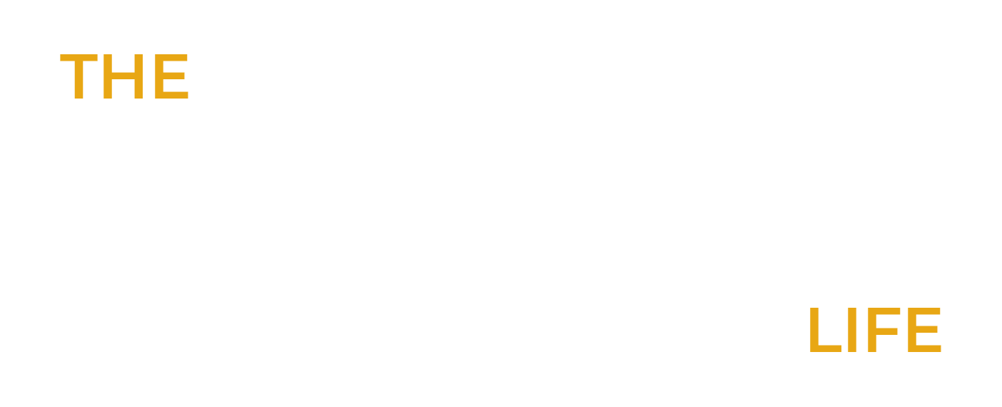 The Todd Obrien Life